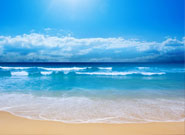 Beaches